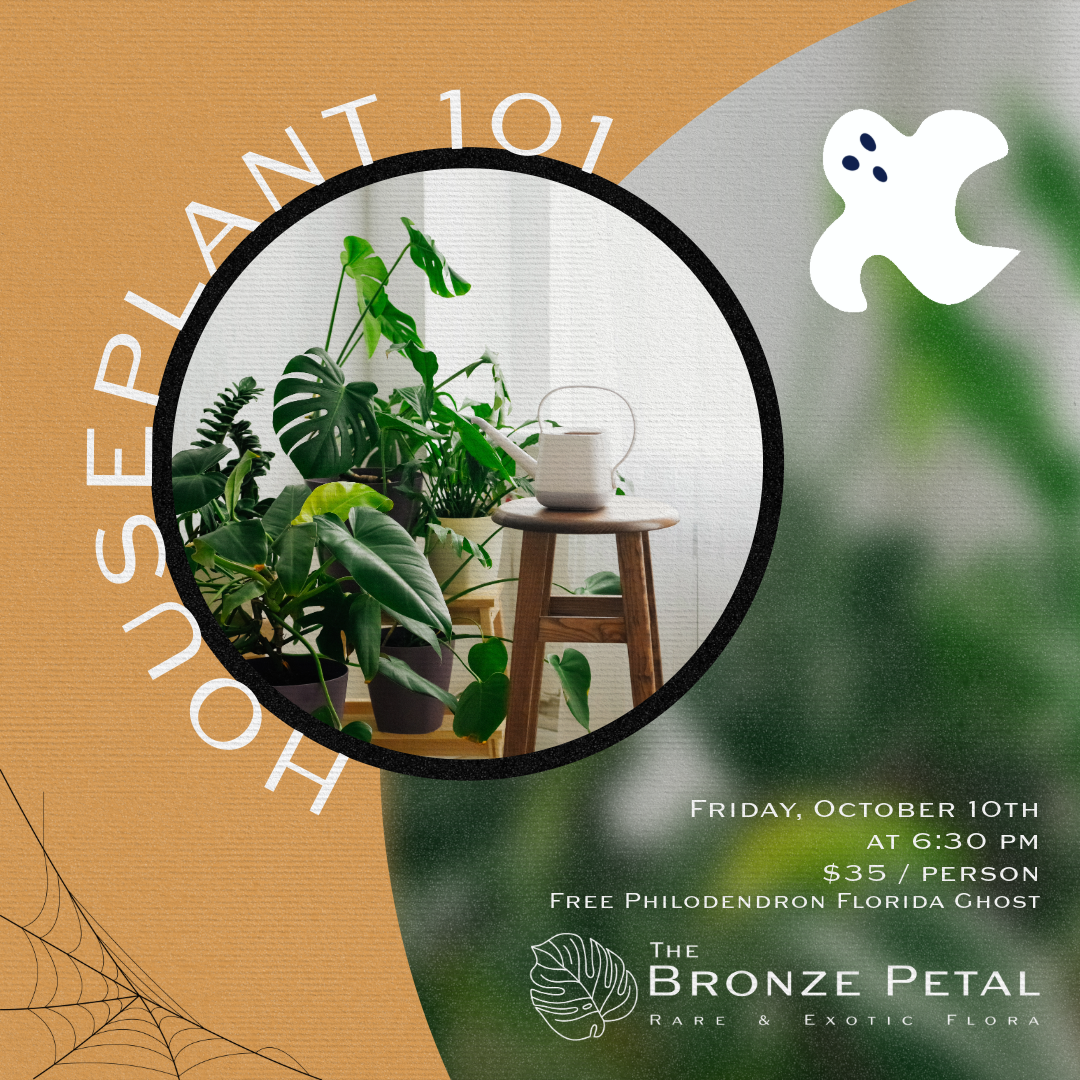 Houseplant 101 Class: Spooky Season Edition