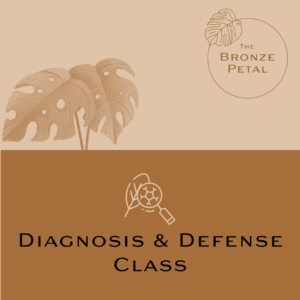 Diagnosis & Defense: Keeping Your Plants Healthy Class