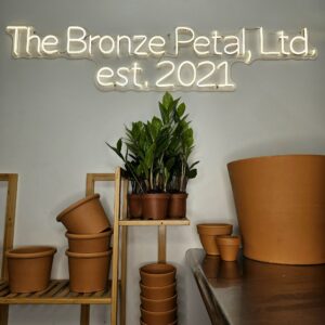 ZZ Plant (Zamioculcas zamiifolia)