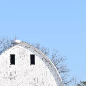 "Here's Looking at You" Card by eejoernsphoto