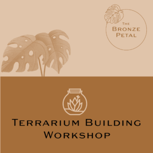 Terrarium Building Workshop