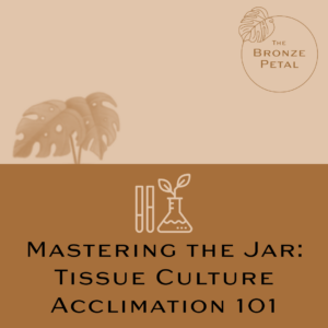 Mastering the Jar: Tissue Culture Acclimation 101