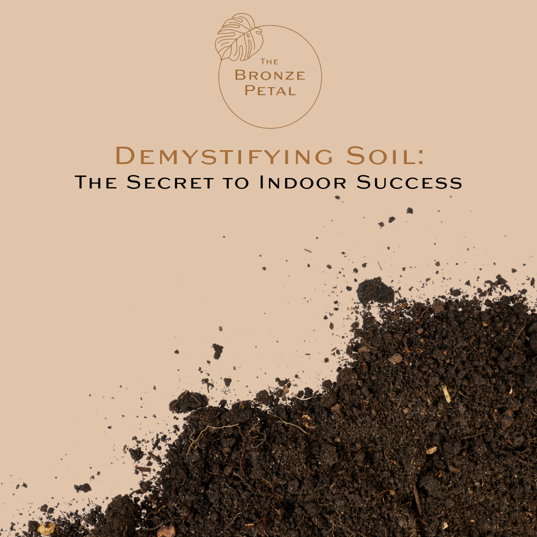 Demystifying Soil The Secret to Indoor Success