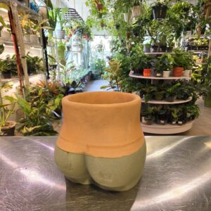 Booty Pot (green and orange)