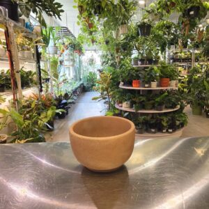 Bowl planter