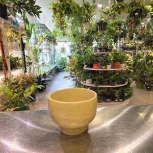 Bowl planter