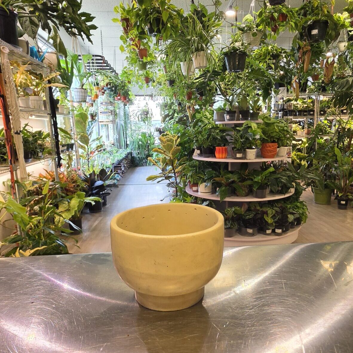 Bowl planter