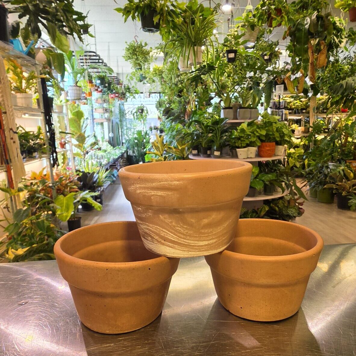 Terra cotta style pot - mauve