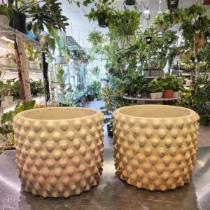 Dot planter (warm layers)