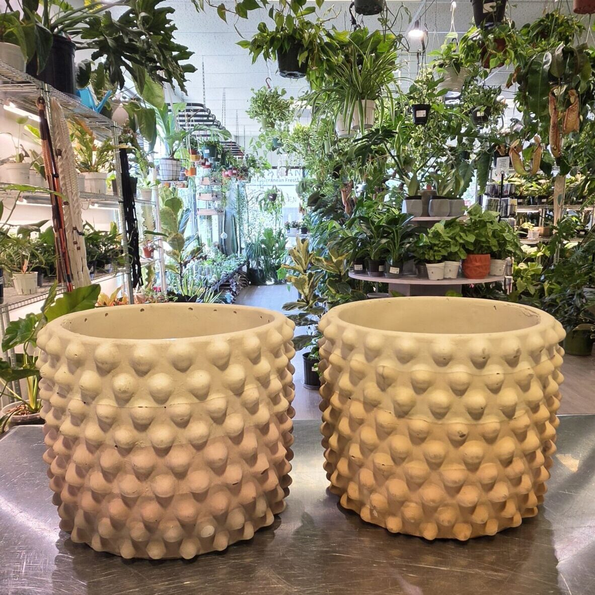 Dot planter (warm layers)